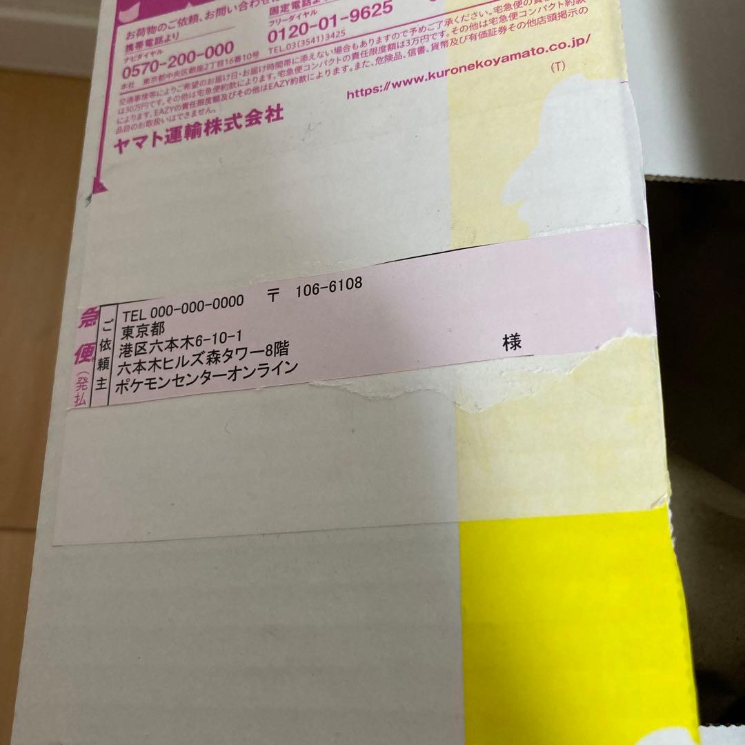 はじまりのピカチュウ　ぬいぐるみ キーホルダー2個セット　タグ付　外箱2種付き