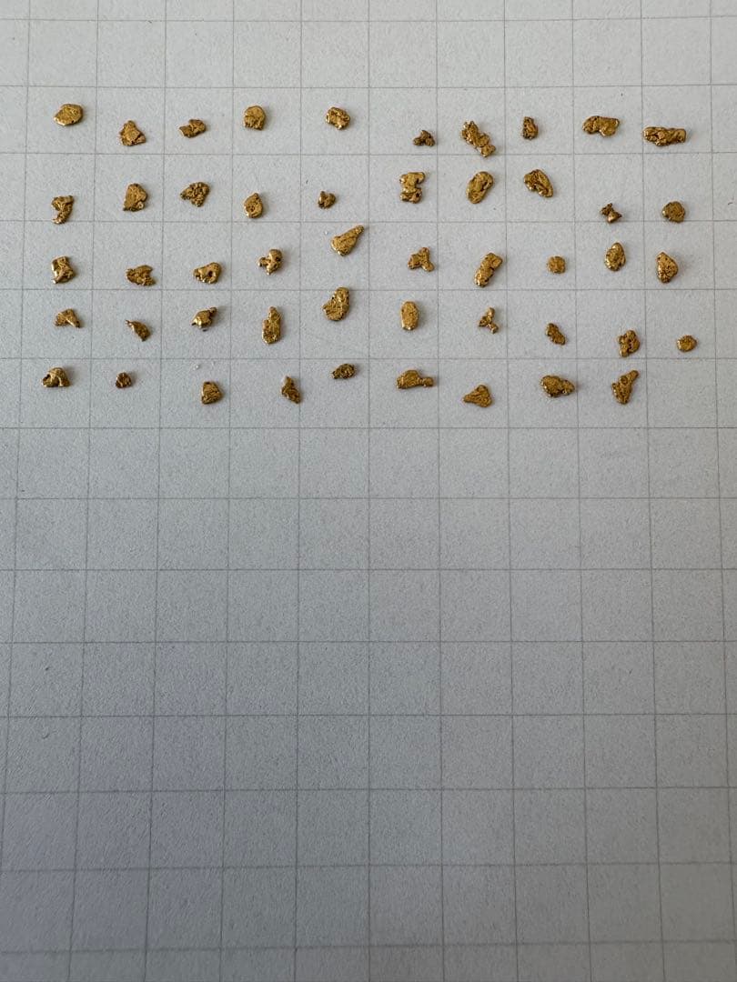 土肥金山 砂金 49粒【純金・24K相当】砂金採り体験 採取品 小瓶付き